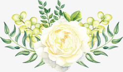 手绘白色花朵花草素材