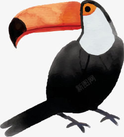 可爱大嘴鸟手绘黑色可爱大嘴鸟高清图片
