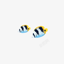 两支蓝黄色热带鱼素材