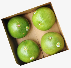柚子礼盒四只青柚包装盒高清图片
