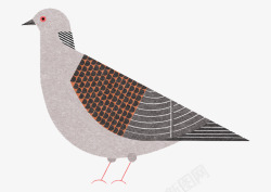 彩色手绘的鸽子效果图素材