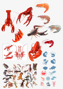 各式各样的海鲜龙虾素材