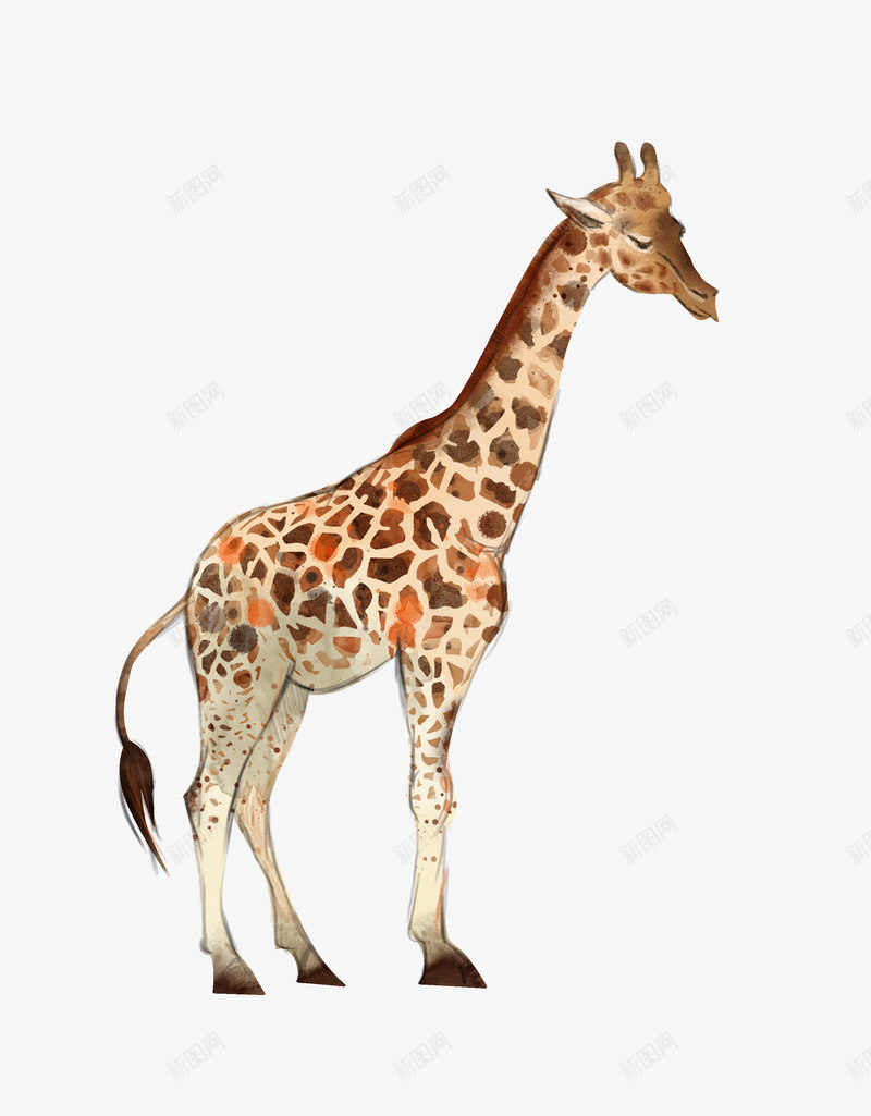棕色手绘的长颈鹿png免抠素材_新图网 https://ixintu.com 免抠图 动物 效果图 棕色 装饰图 装饰画 长颈鹿