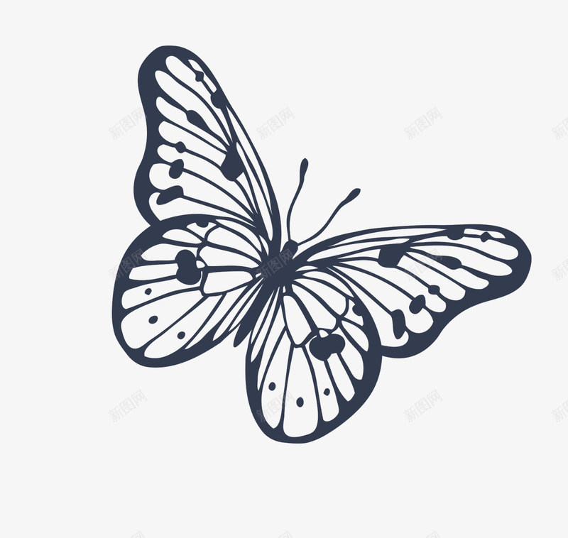 美丽的卡通蝴蝶手绘图标png_新图网 https://ixintu.com 创意简单 卡通 昆虫 简约 线条 线状 蝴蝶 黑色