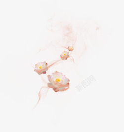 粉白花中式雾生花高清图片