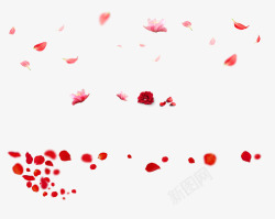 浪漫粉色与红色花瓣片素材