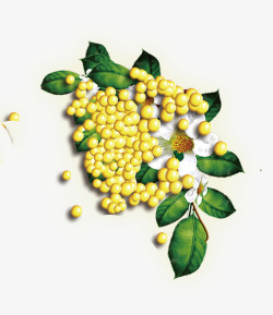 豆子装饰绿色植物上的黄豆子高清图片
