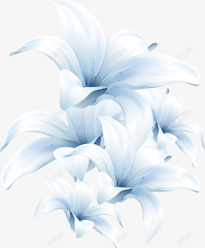 创意蓝色白色的手绘花卉植物png免抠素材_新图网 https://ixintu.com 创意 植物 白色 花卉 蓝色