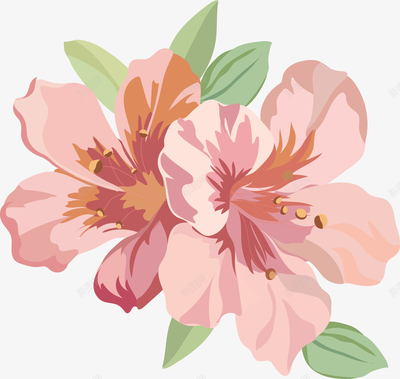 手绘粉色樱花png免抠素材_新图网 https://ixintu.com 手绘 樱花 水彩 粉色