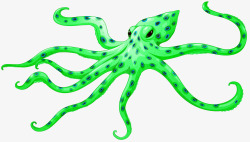 绿色八爪鱼绿色黑点章鱼高清图片