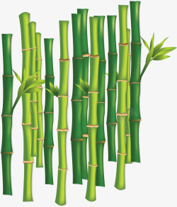 茂密的竹林绿色美容院茂密的竹林矢量图高清图片