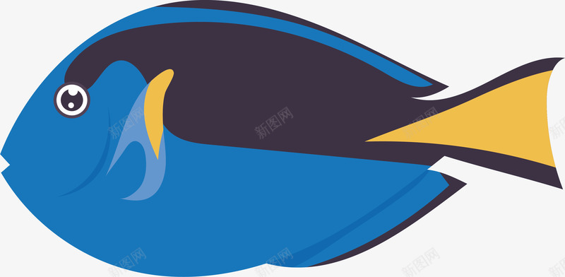 可爱观赏鱼蓝满龙鱼矢量图ai免抠素材_新图网 https://ixintu.com joker 七彩鱼 动物 卡通 可爱蓝满龙鱼 小丑鱼 小丑鱼Q版 斗鱼 水族 水族馆 燕鱼 矢量图 金鱼 钓鱼 鱼类