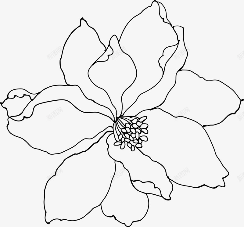 花卉矢量图图标eps_新图网 https://ixintu.com 卡通 线条 花卉 花朵 矢量图