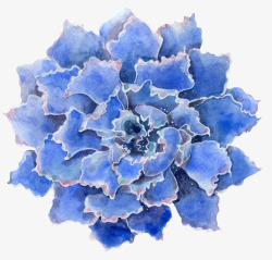 手绘蓝色的花朵图素材