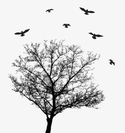 候鸟与缠绕的树枝素材