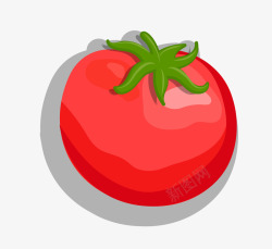 简洁番茄番茄矢量图高清图片