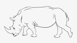 简洁犀牛黑色线条犀牛犀牛角线稿图标高清图片