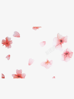 漂亮的水彩樱花素材