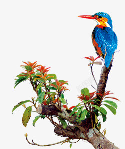 水墨翠鸟停在树上的翠鸟高清图片
