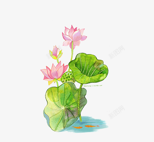 文艺清新花草花环海报装饰png免抠素材_新图网 https://ixintu.com 小清新花草装饰 文艺花草PPT制作 植物插画 海报设计 花草包装礼盒 花草插画 花草装饰 荷花