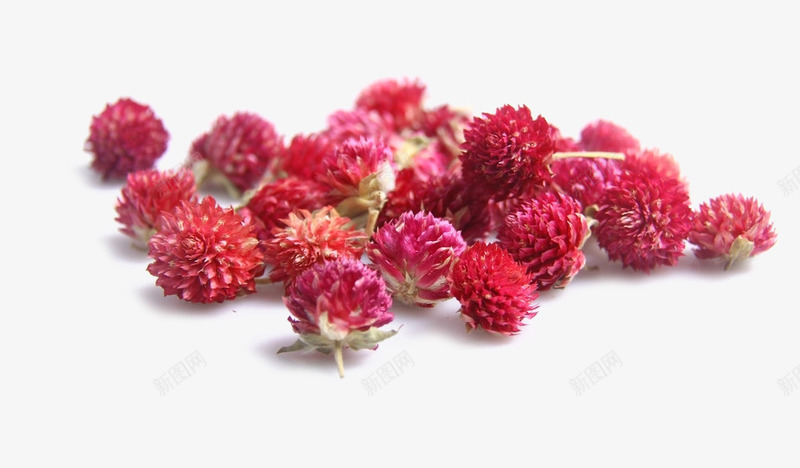 一堆千日红psd免抠素材_新图网 https://ixintu.com 一堆 千日红 植物 花卉 花朵