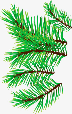 手绘绿色圣诞树枝素材