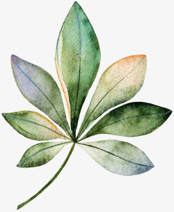 大叶植物水彩手绘植物装饰高清图片