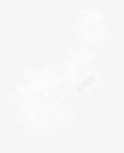 白色梨花素材