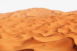 黄昏美丽的沙漠景色高清图片