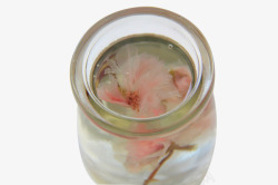 樱花干透明杯樱花水信玄饼高清图片