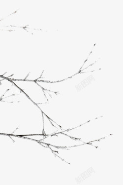 黑色树杈水墨枝条高清图片