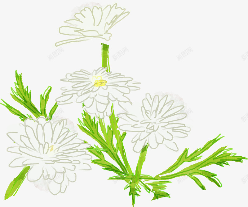手绘白色简洁小花植物png免抠素材_新图网 https://ixintu.com 植物 白色 简洁