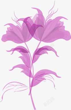 手绘紫色花朵美容装饰素材