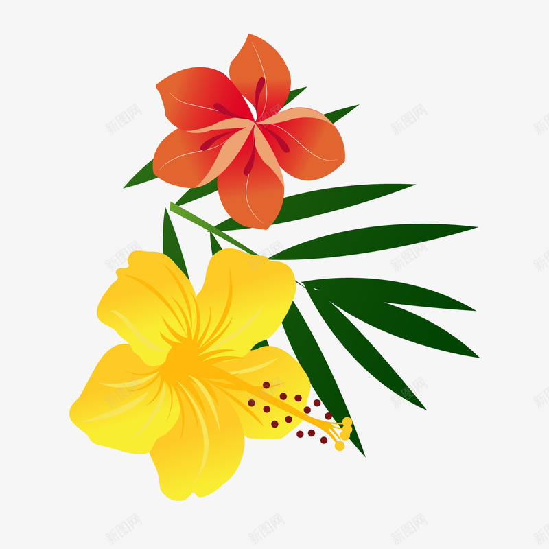 夏季热带花朵植物png免抠素材_新图网 https://ixintu.com 夏季热带植物 植物花卉 红色花朵 背景装饰 黄色花朵