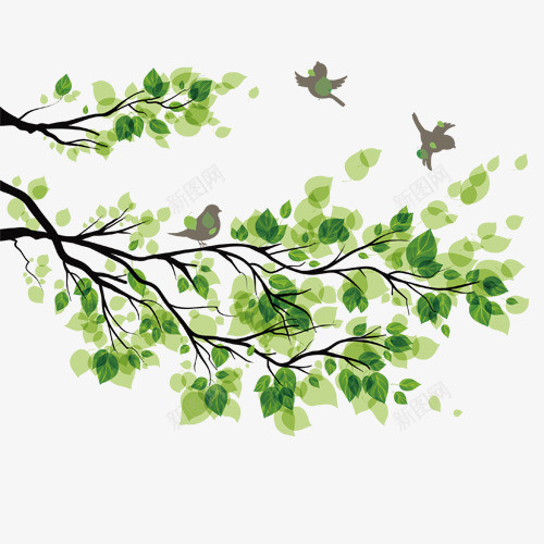 树枝和鸟png免抠素材_新图网 https://ixintu.com 叶子 小鸟 树枝 矢量装饰 绿色 装饰 装饰画
