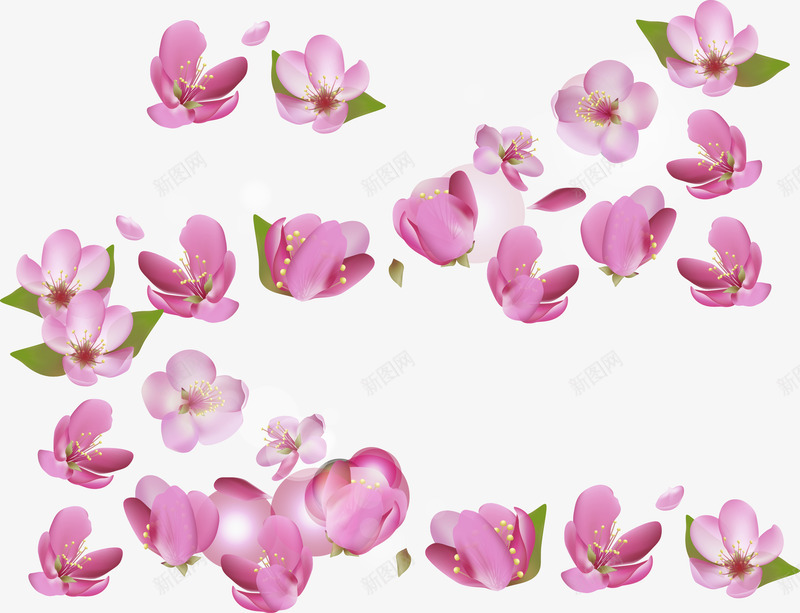 樱花朵朵矢量图ai免抠素材_新图网 https://ixintu.com 樱花 粉色 设计 透明 矢量图