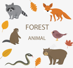 熊图标树林中的动物矢量图图标高清图片