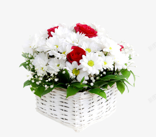 白色篮子和鲜花png免抠素材_新图网 https://ixintu.com 小清新花卉 白色花朵 花卉图案 花卉素材