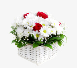 白色篮子和鲜花素材