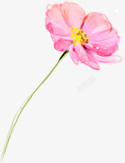 水彩画手绘粉色花卉水彩画展架高清图片