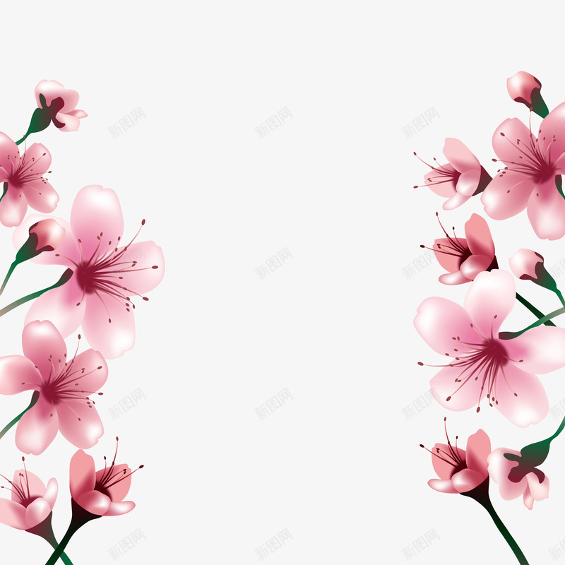 樱花png免抠素材_新图网 https://ixintu.com 樱花 背景装饰 花卉 花朵 花边