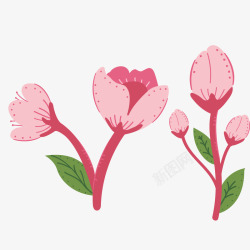 粉色樱花和花枝矢量图素材