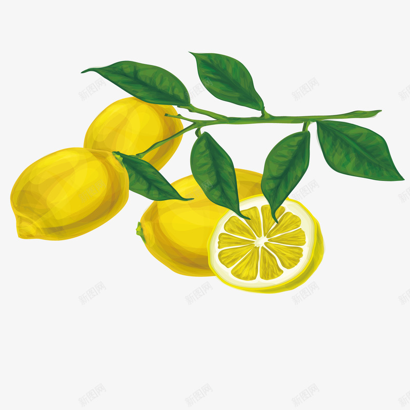 柠檬树矢量图ai免抠素材_新图网 https://ixintu.com 树叶 树枝 水果 装饰 矢量图