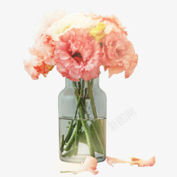 摄影花瓶康乃馨鲜花摄影特写高清图片