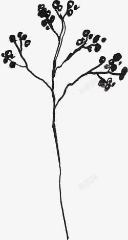 线描树素材