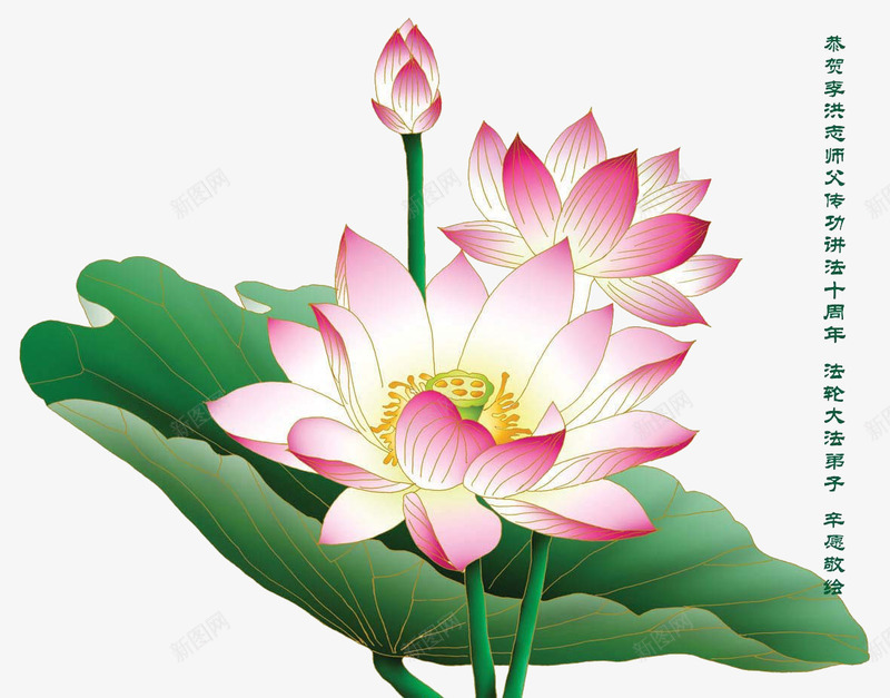 粉色荷花png免抠素材_新图网 https://ixintu.com 中国风 手绘 水彩画 绘画 花卉 荷花