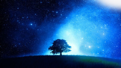 星光下的树星空全屏海报背景七夕素材