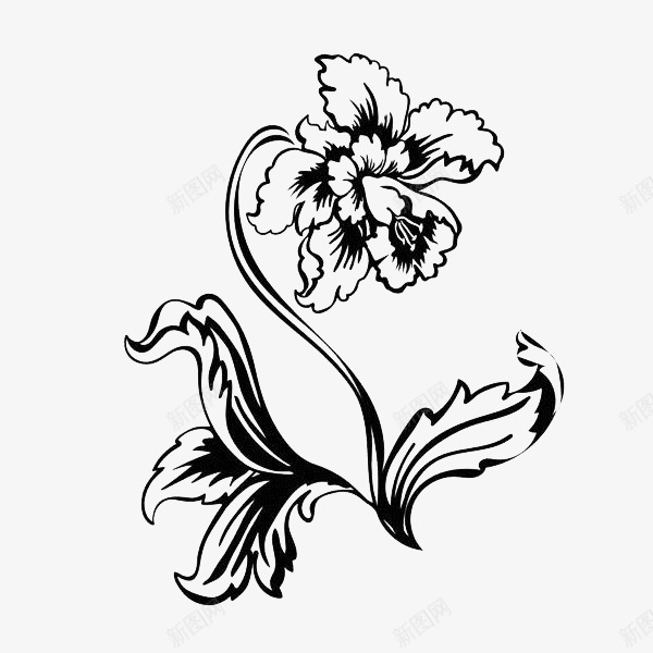 手绘黑色花卉图标png_新图网 https://ixintu.com 叶子 植物 线描 线描花矢量图 线条手绘 花卉 黑色
