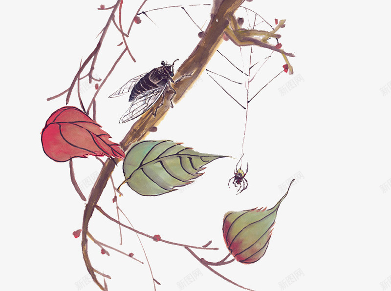 树上的蝉和蜘蛛png免抠素材_新图网 https://ixintu.com 会叫的蝉 树枝上的果子 结网的蜘蛛 蜘蛛 蝉 蝉插画