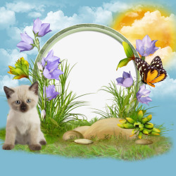 小猫相框植物石头小猫天空装饰相框高清图片